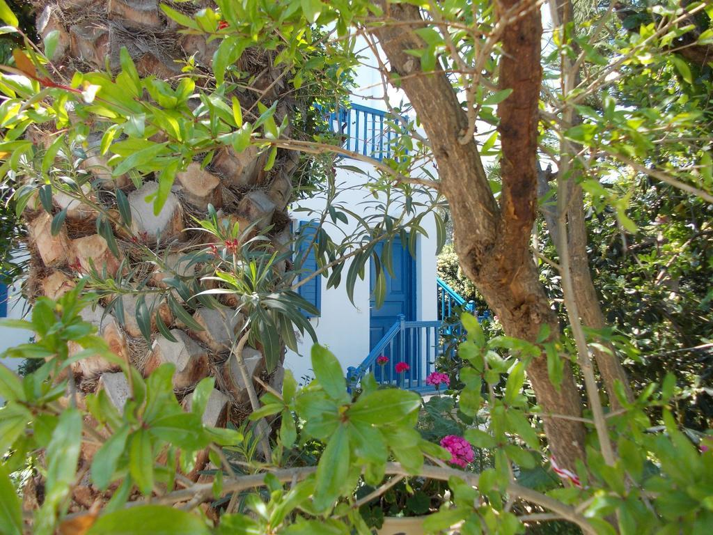 Matina 2* Mykonos Town