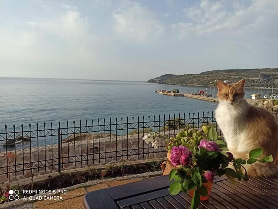 Hotel Anatoli Agia Marina (Aegina)