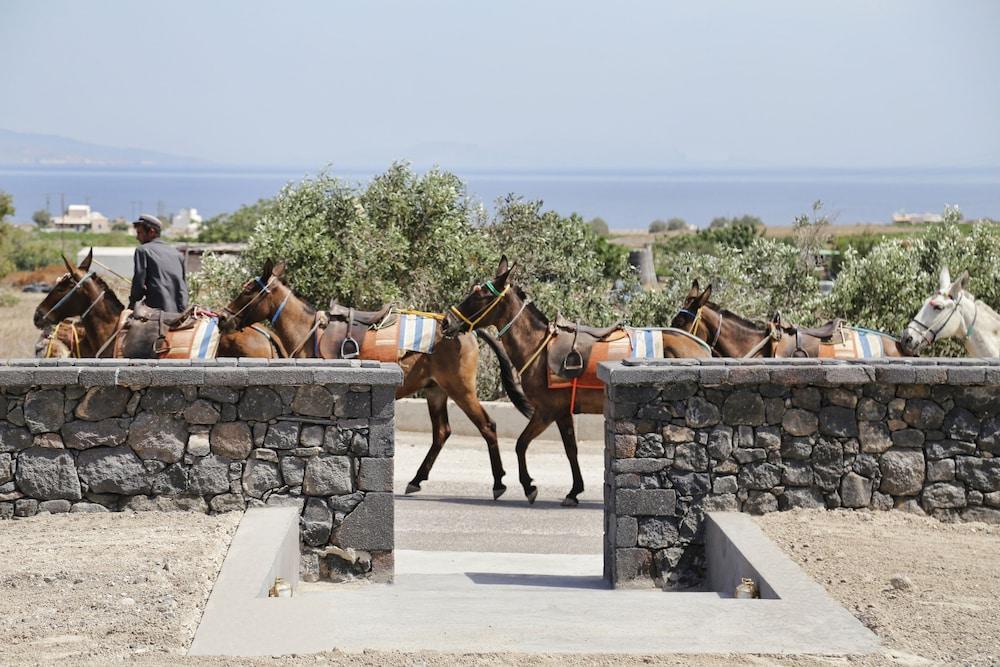 Vino 3* Oia (Santorini)