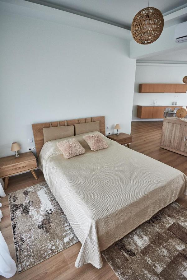 The El Greco Spirit Meets The Athenian Luxury Apt1 Apartment Athens