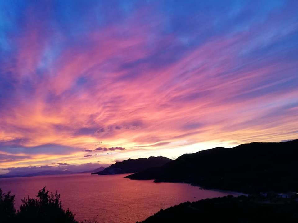 Aurora Platanias (Thessaly)