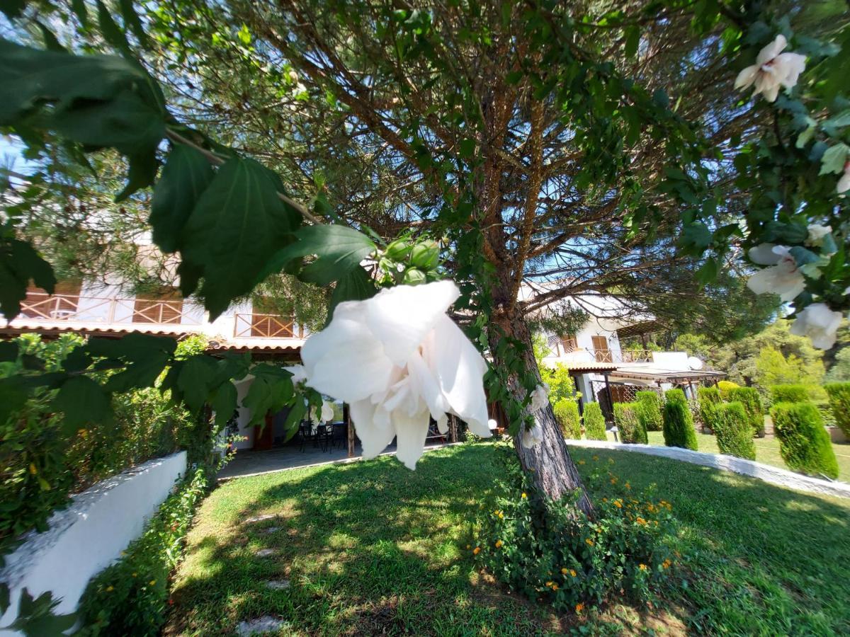 Elani Private Retreat - Villa Maria Garden Escape