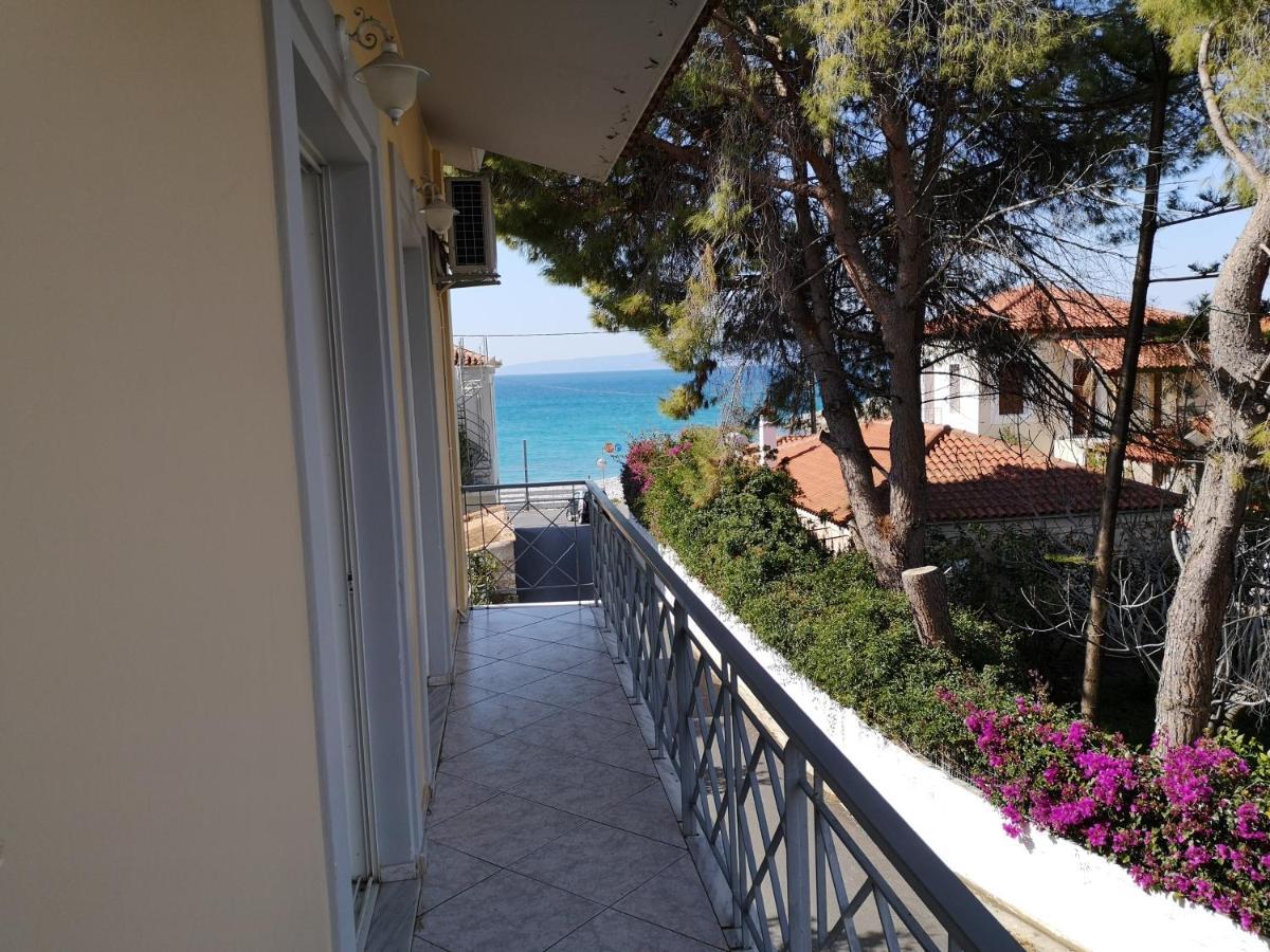 Panos & Antzy Apartment