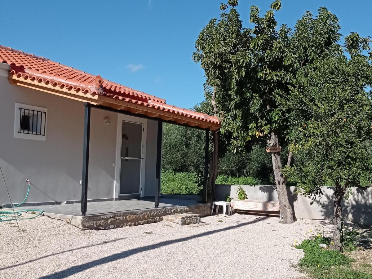 Avocado House Holiday home Finikounta