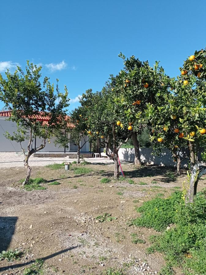 Avocado House Finikounta