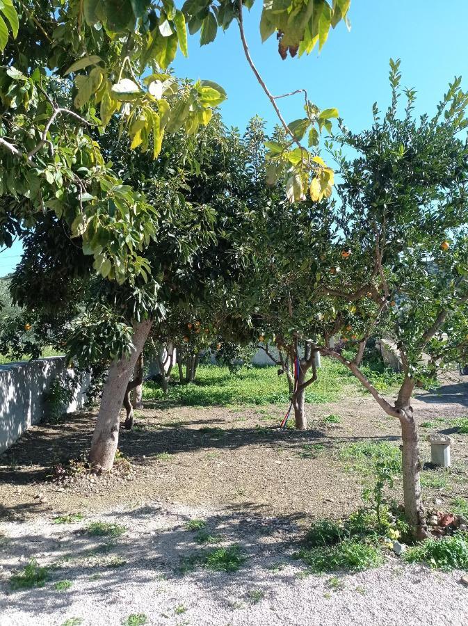Avocado House * Finikounta