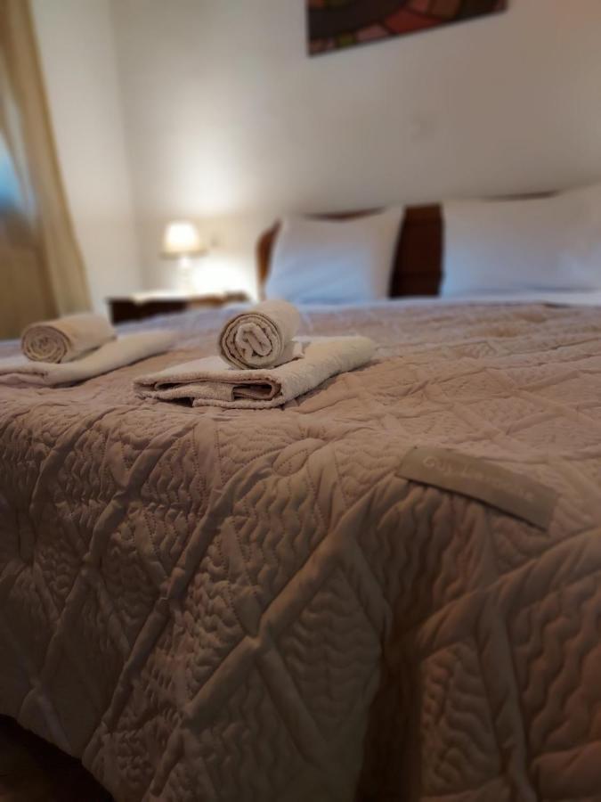 Platon Guest house *