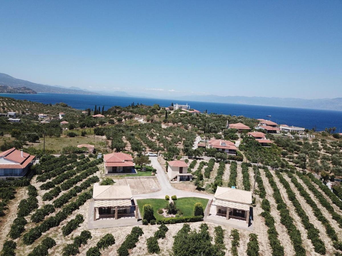 Takis Bizos House 1 Holiday home Koroni (Messinia)