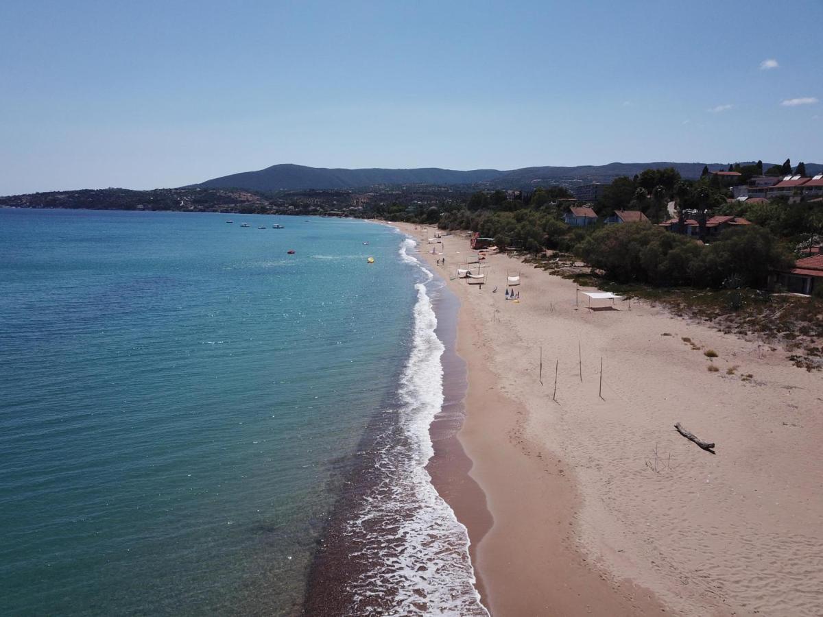 Takis Bizos House 1 * Koroni (Messinia)