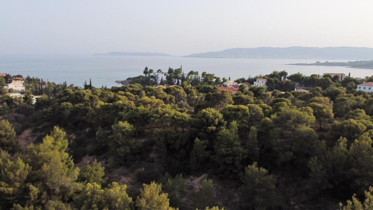 Pleiades Luxury Aparthotel 3*