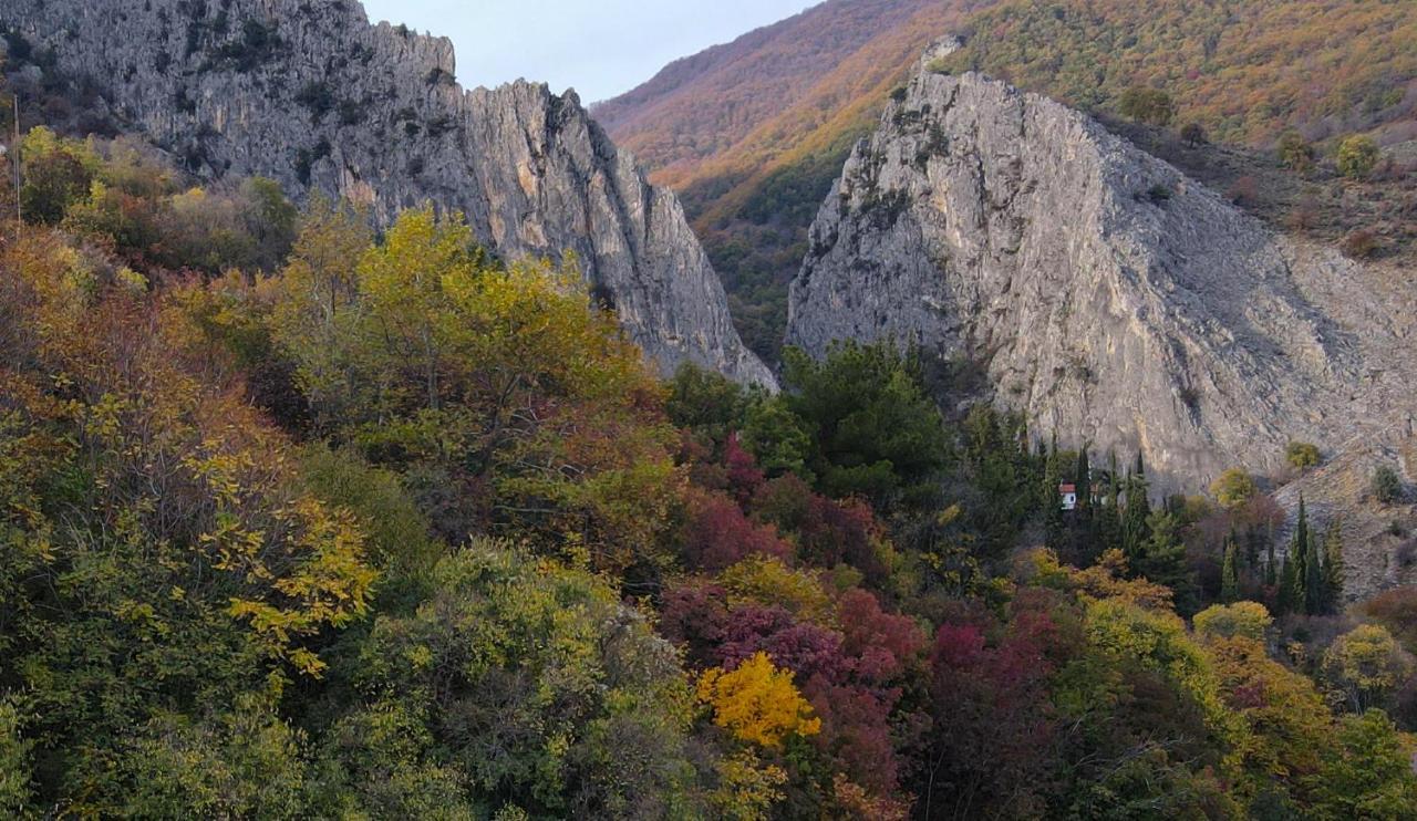 Guest house αντωνία *