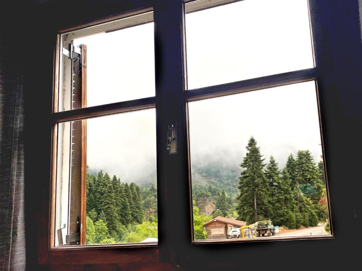 House * Pavliani