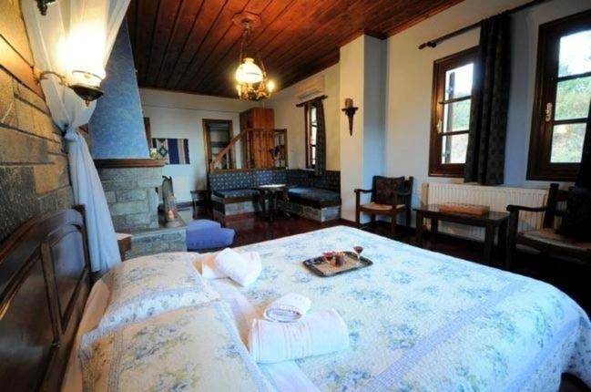 Guest house Amalthia Traditional *