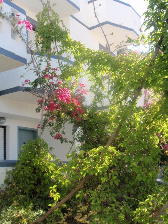 Fevro Hotel