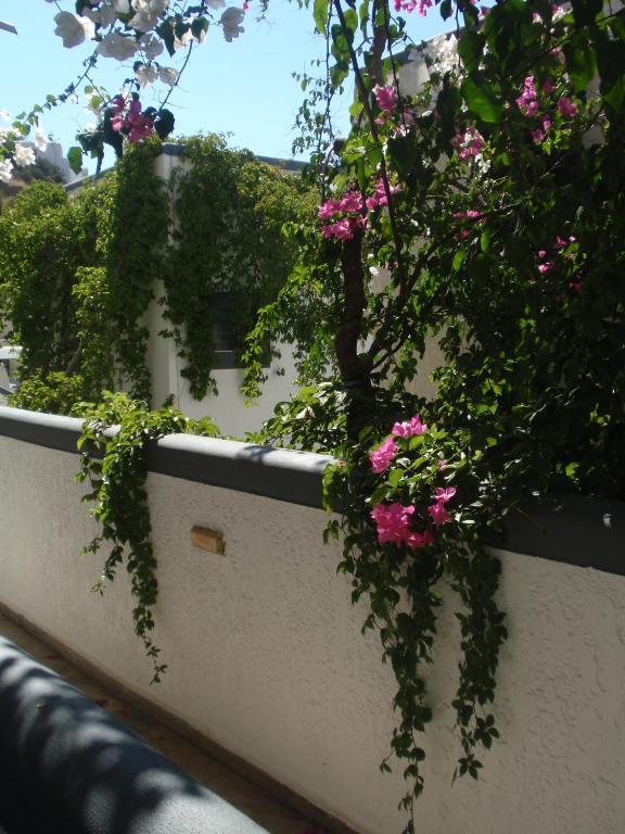 Hotel Fevro Agia Galini (Crete)
