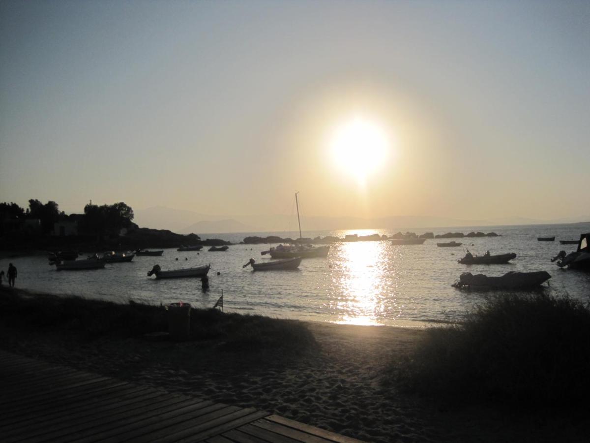Filoxenia Home-seaside 2nd Floor Seaview ,dream On Naxos Apartment