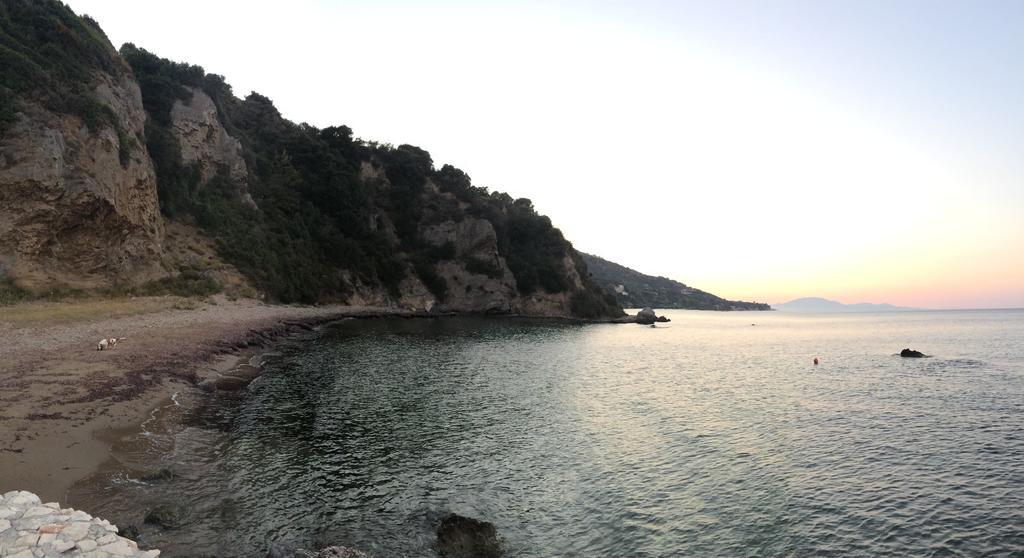 Celia Vasilikos (Zakynthos)