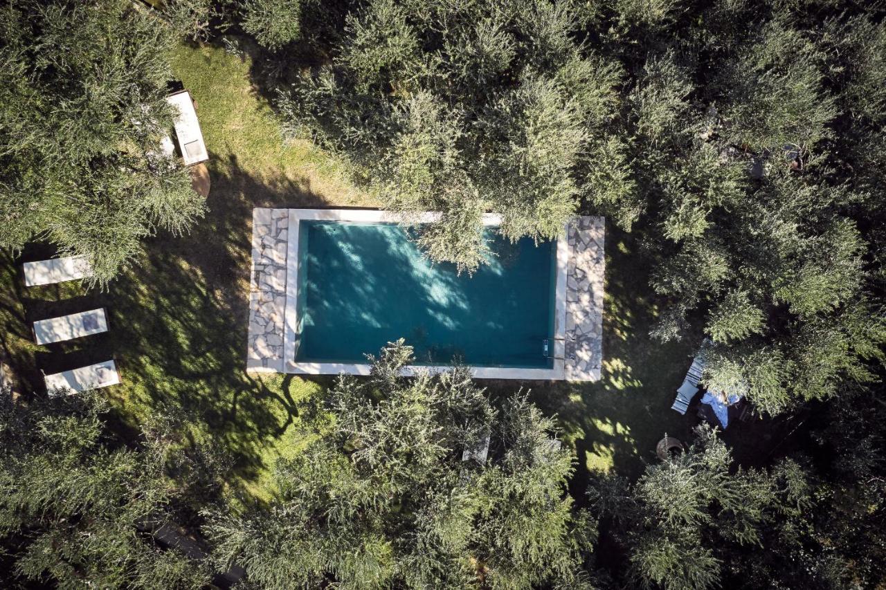 Vafias - Tranquil Location, Ideal For Large Groups, By Zantewize *
