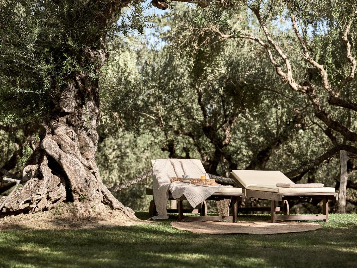 Villa Vafias - Tranquil Location, Ideal For Large Groups, By Zantewize