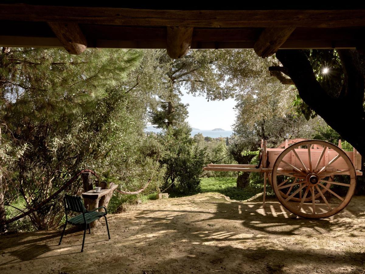 Vafias - Tranquil Location, Ideal For Large Groups, By Zantewize Villa Lithakia (Zakynthos)