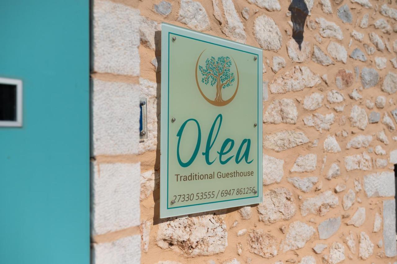 Olea Guest house