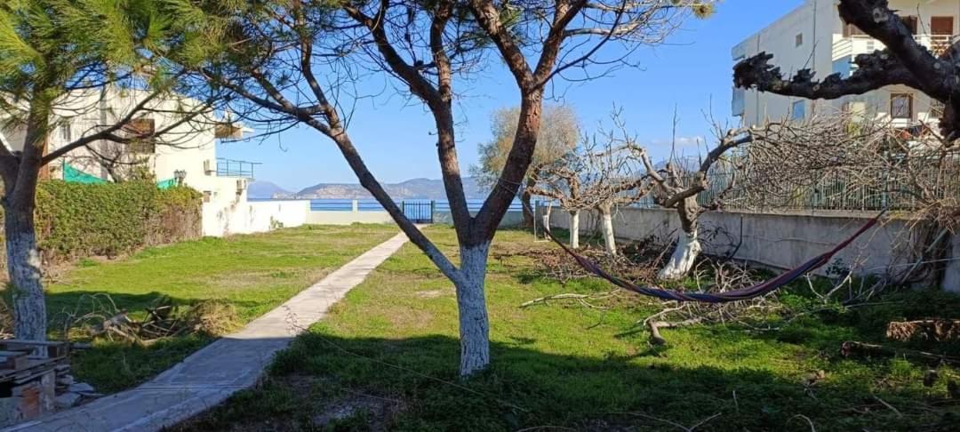 Villamare Nerantza