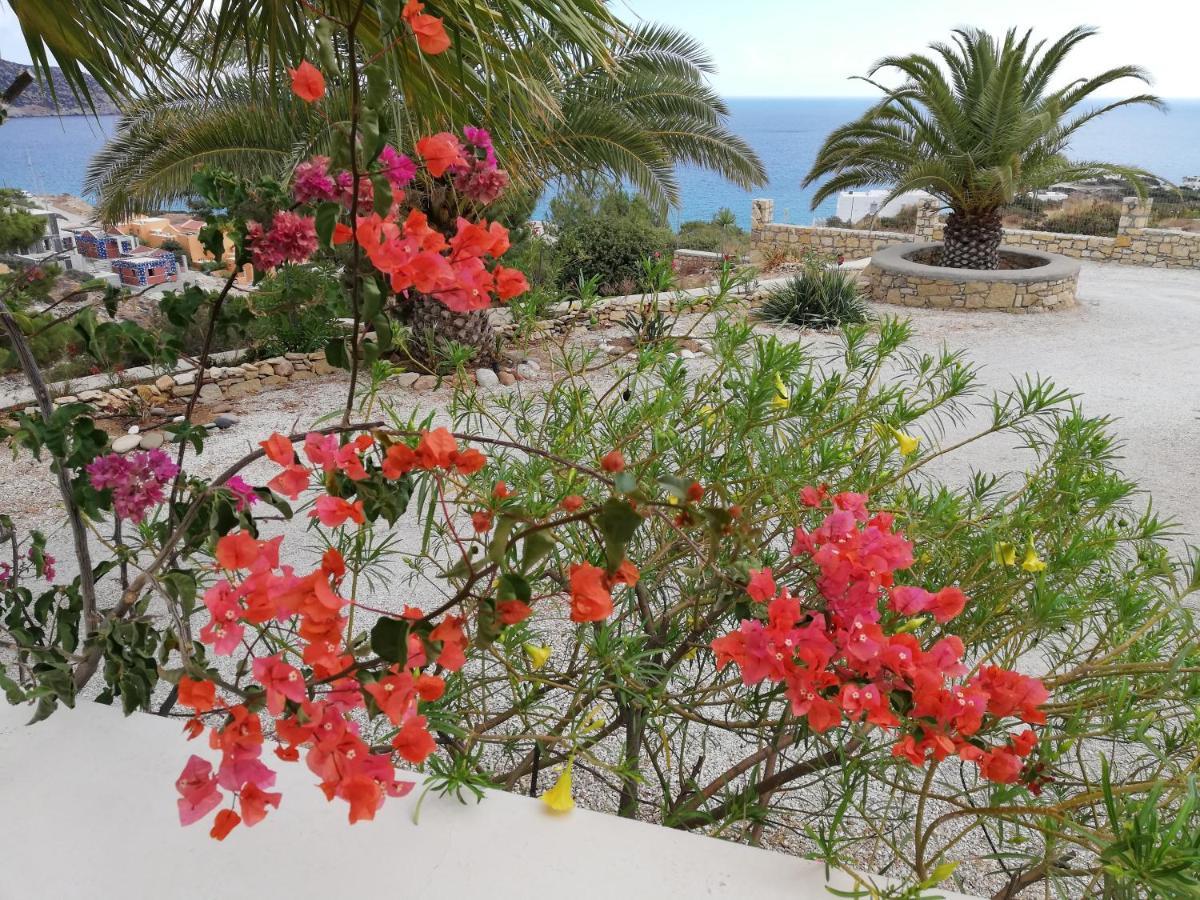 Tranquil With Sea View In Ammopi Karpathos Holiday home Amoopi