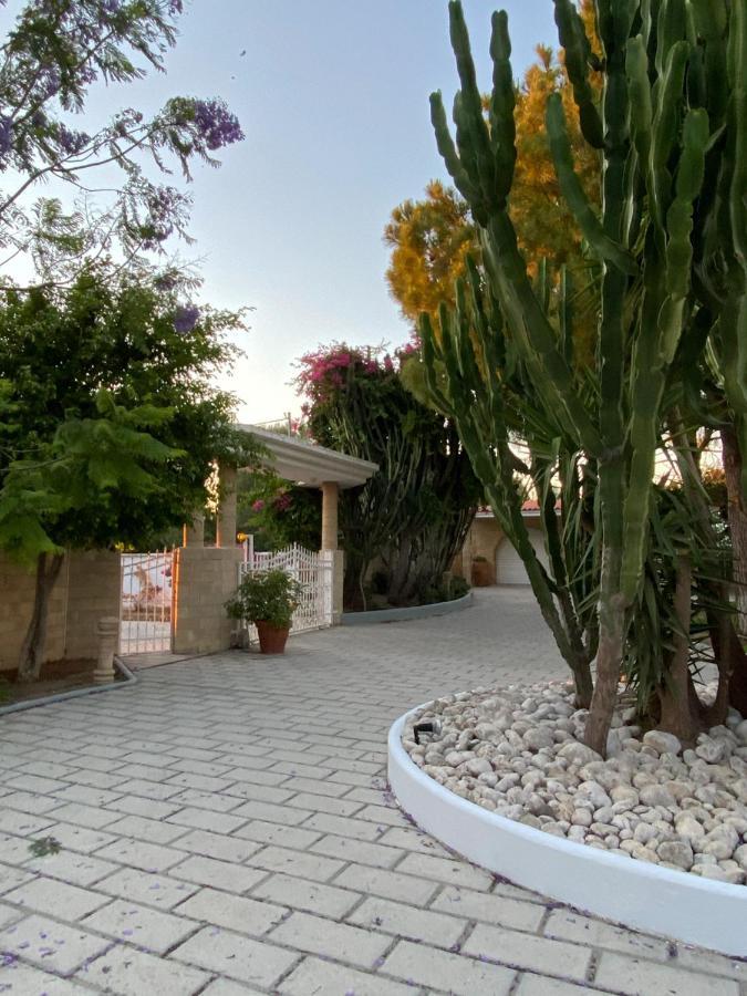 Nostrana Village *
