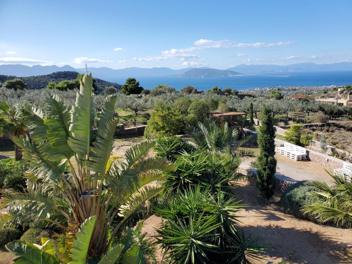 Aphea * Aegina