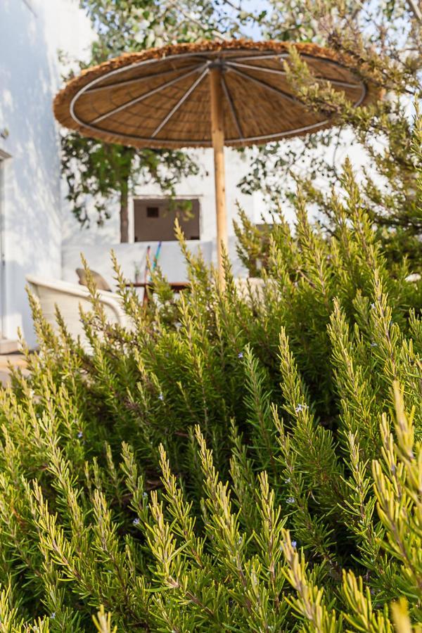 Crossrhodes Villas Apartment Pefki (Rhodes)