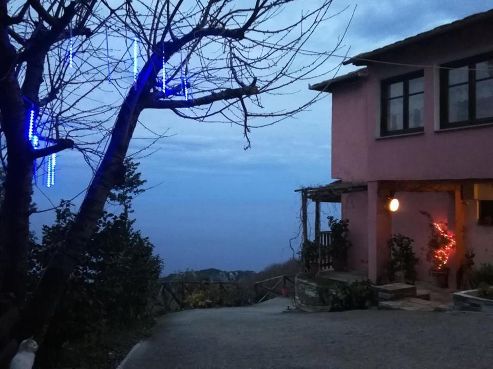 Guest house Horizon