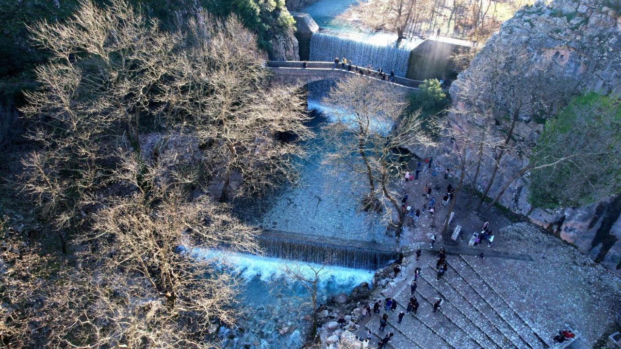 Giamandes Elati (Trikala)