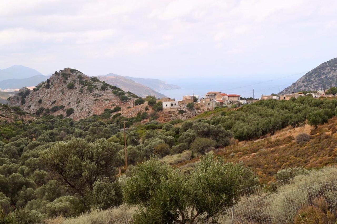 Amazing Mourtzanakis Residence Eco Villas Villa