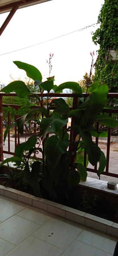 Stella Sunrise * Stavros (Thessaloniki)