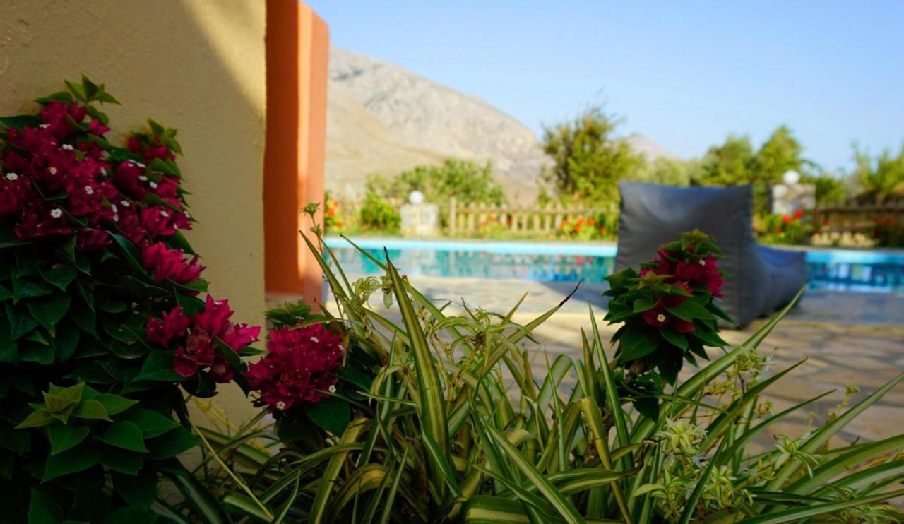Despina 1 Plakias Private Villa, Private Swimming Pool Garden,amazing View Villa *