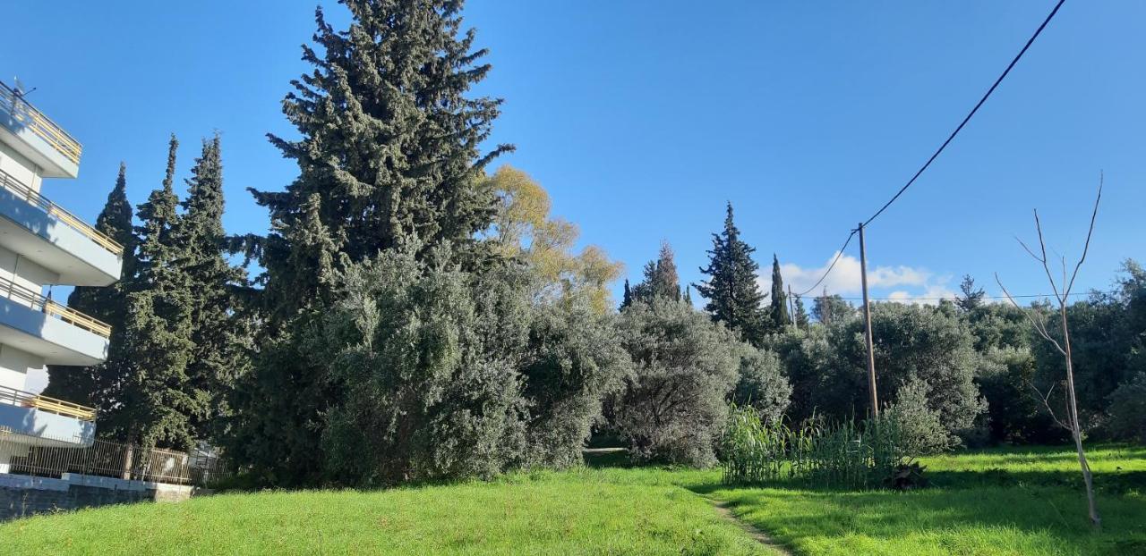 όμορφο στην πόλη Apartment Patras