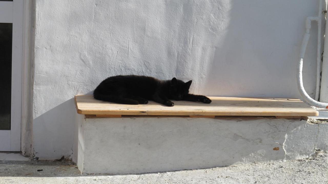 And Xenophon Apartment Matala (Crete)