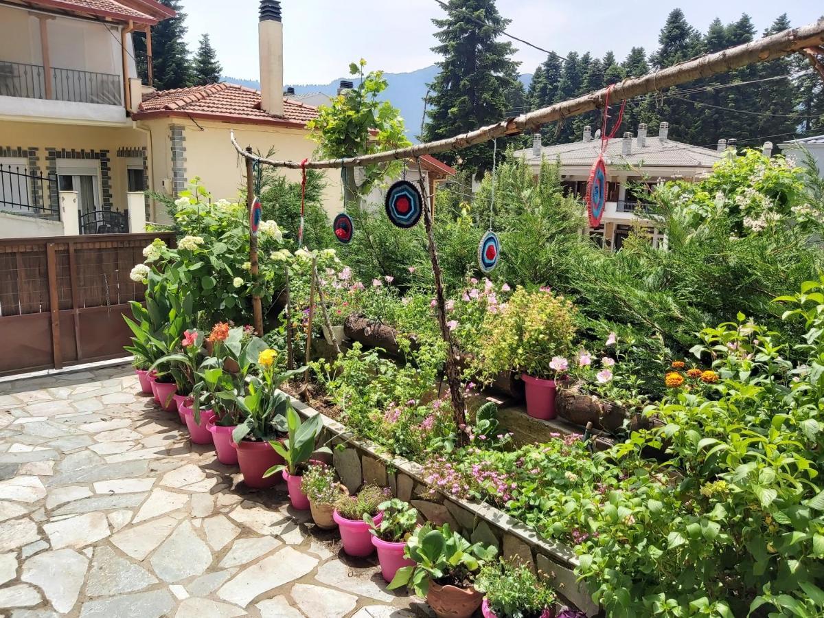Guest house Theodorou 3*