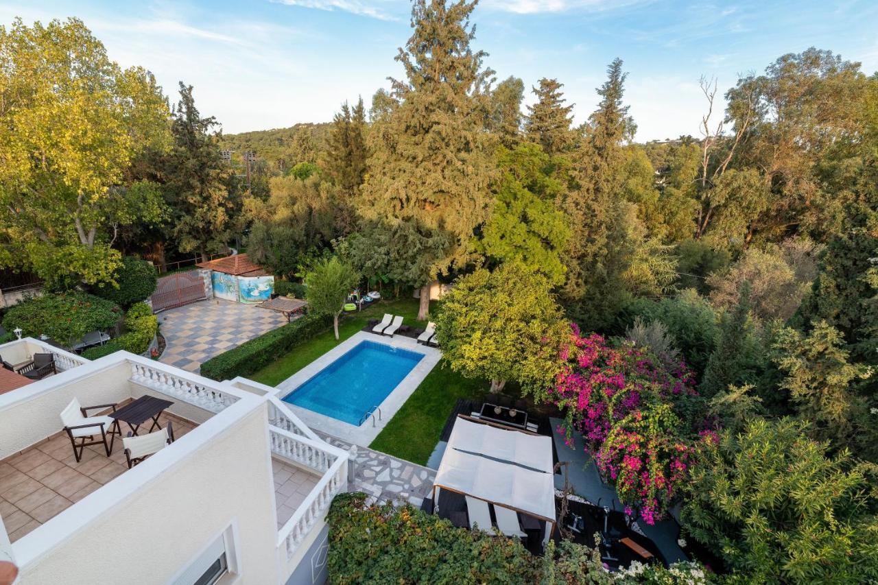Small Paradise With Pool & Jacuzzi 