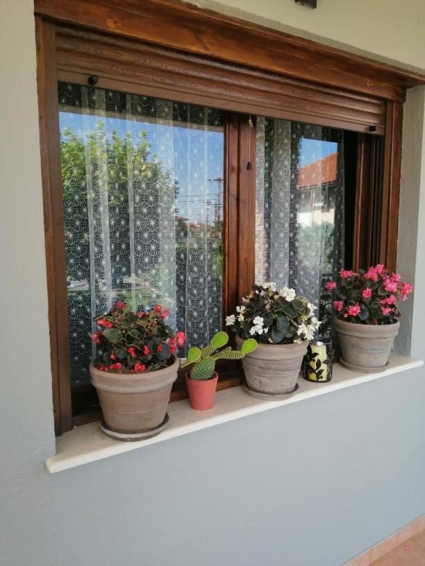 Guest house Athanasiou