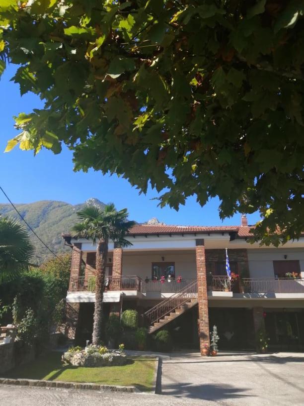 Athanasiou Loutraki (Pella)