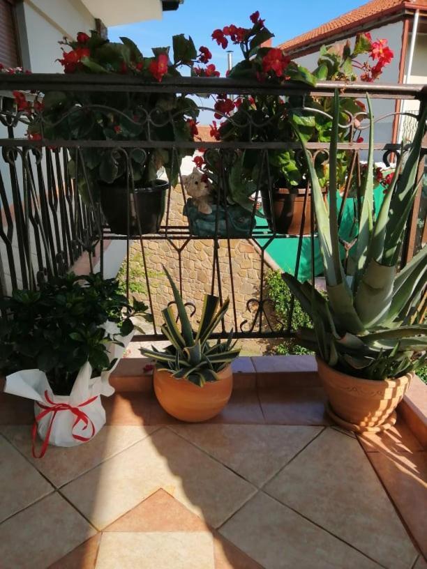 Athanasiou Guest house