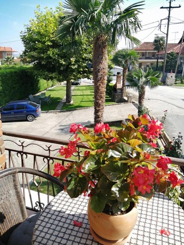 Athanasiou Guest house Loutraki (Pella)