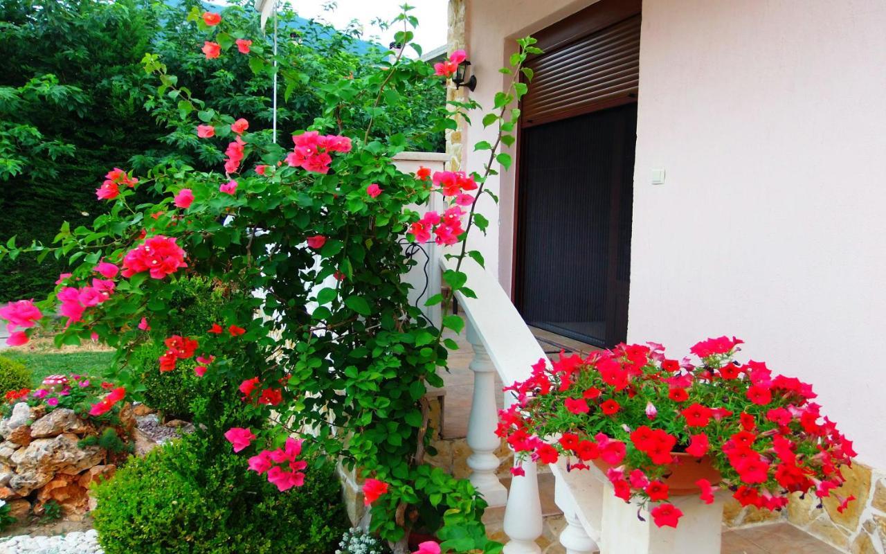Relax Pozar Guest house Loutraki (Pella)