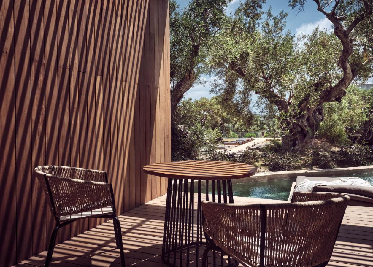 Olea Hotel, A Member Of Design (adults Only) Hotel Tsilivi (Zakynthos)