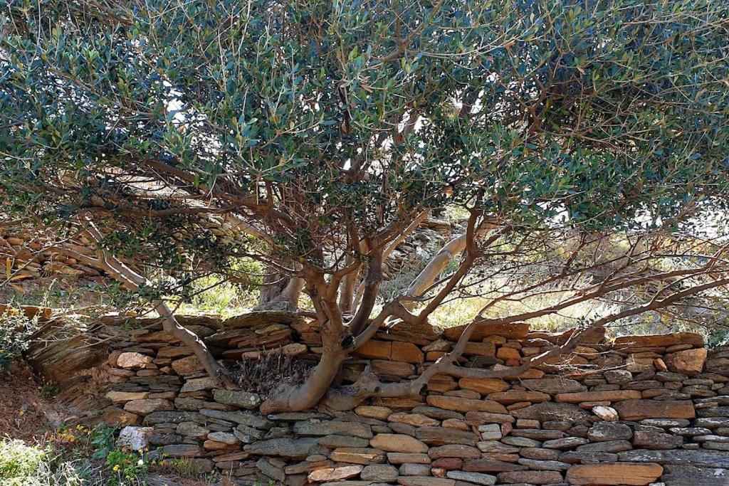 Traditional Stone House 1bedroom, Sea View, Syros Holiday home Ano Syros