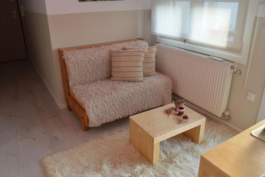 Luxurious Japandi Loft *