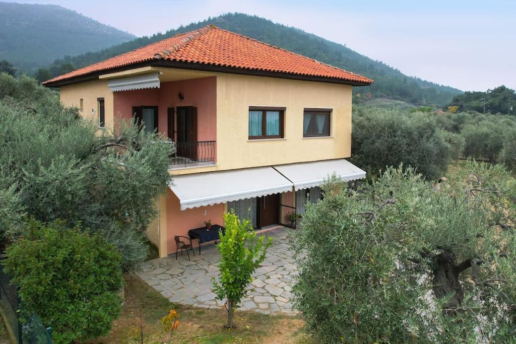Olive's House * Skala Rachoni (Thasos)