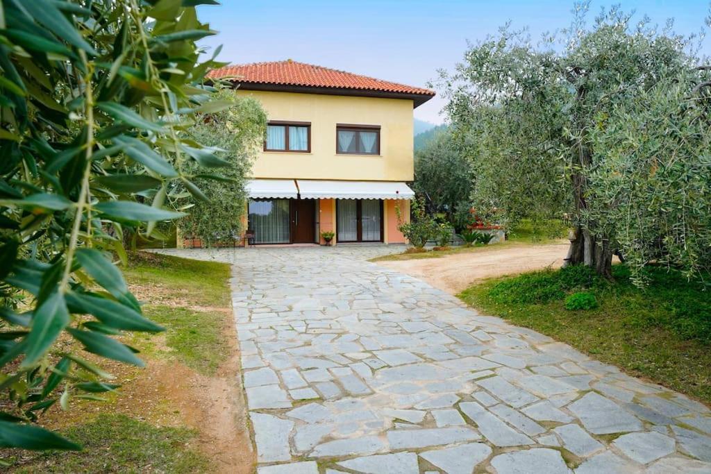 Olive's House Skala Rachoni (Thasos)