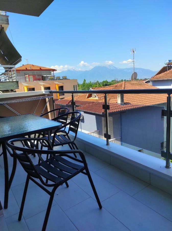 Premium Family Apartment Paralia Katerinis